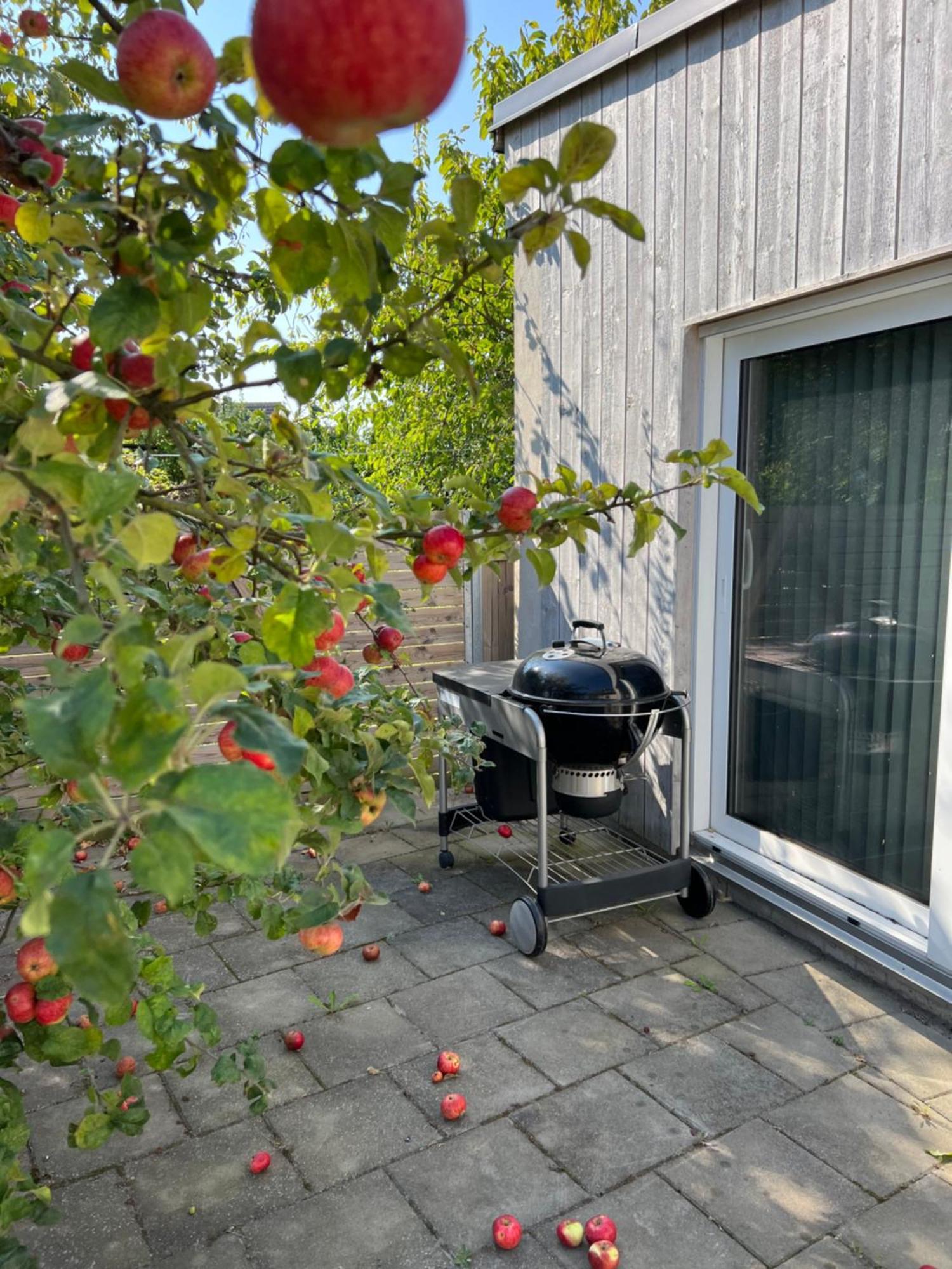 Beautiful In Close To Everything Apartment *